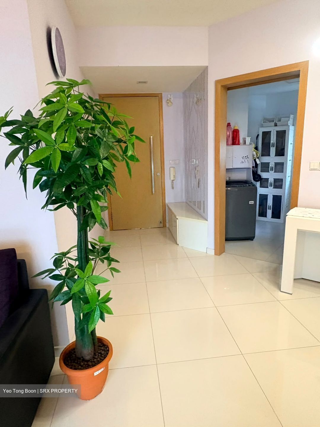 Eight Courtyards (D27), Condominium #581889721